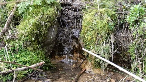 A water streams surrounded by greenery in the park. 動画素材 154368909