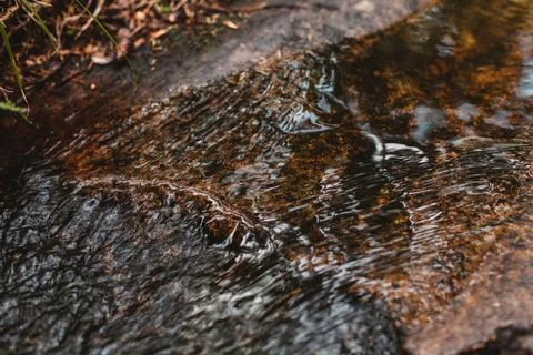 Water streams texture on the stone in forest. Close up Foto stock