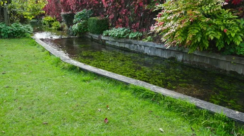 Water streem in a park Stock Footage 43262035