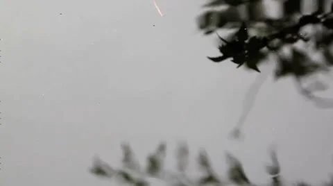 Water striper falling leaf on pond Stock Footage 31804589