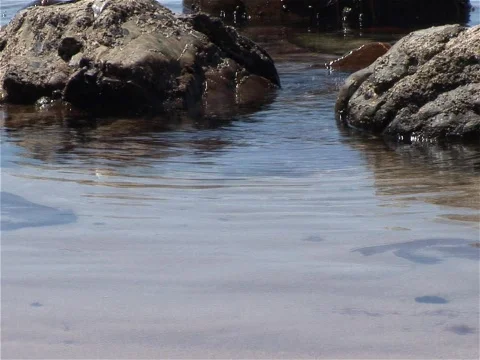 Water Sun Stock Footage 490429