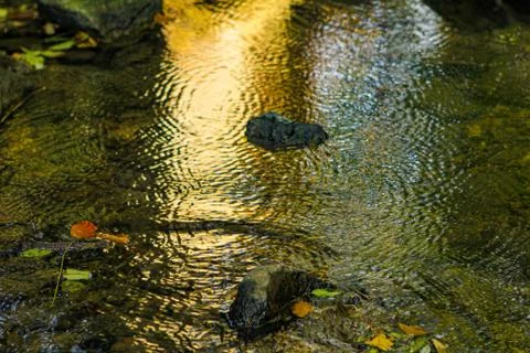 Water with sun reflection with circles Foto stock