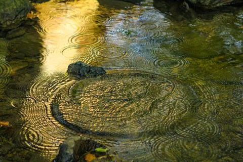 Water with sun reflection with circles Stock Photos