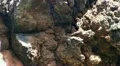 Water-Sun reflections at Lava wall 20110428 140754 HD Footage