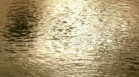 Water Sun reflections, Sava river Video stock 12654956
