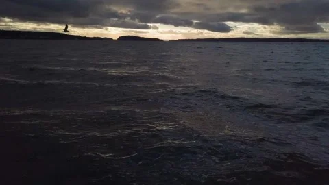 Water at Sunset BIRD FLY'S BY Stock Footage 196476061