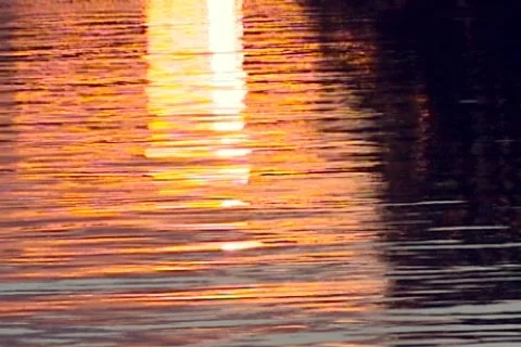 Water Sunset Video stock 311717