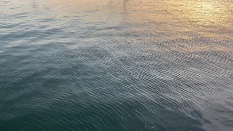 Water sunset Stock Footage 164641735