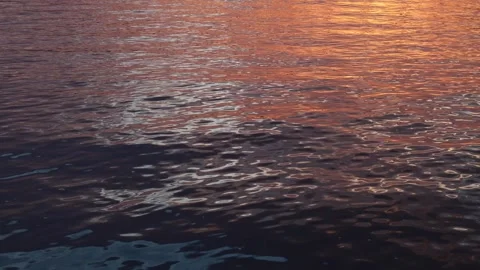 Water sunset Stock Footage 292251989