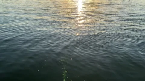 Water sunset Stock Footage 322001419