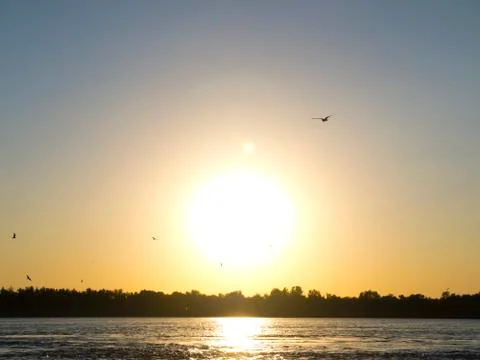 Water sunset 库存照片