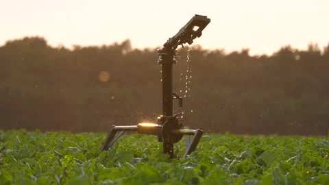 Water Supply In A Field In Summer Video stock 136626862