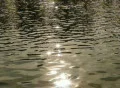 Water Surface 04 : VJ Loop Web Footage