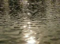 Water Surface 04 : VJ Loop Footage