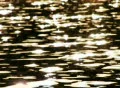 Water Surface 05 : VJ Loop Web Footage