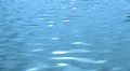 Water Surface 240fps 17 Slow Motion x8 60 seconds Web Footage