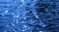 Water Surface 47 Slow Motion Loop HD Footage
