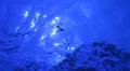 Water Surface 50 Slow Motion Loop HD Footage