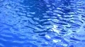 Water Surface 69 Slow Motion Loop HD Footage
