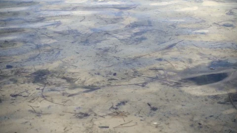 Water surface, abstract background with a text field Stock Footage 106569822