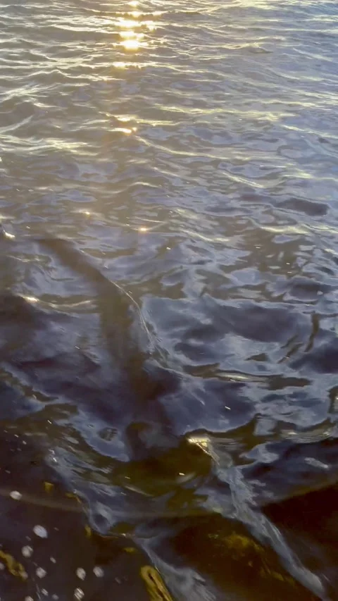 Water surface abstraction Stock Footage 139772303