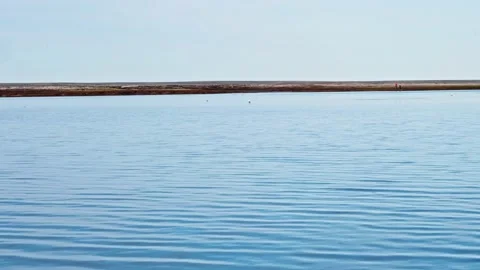 Water surface and faraway view of shore with researchers examining the ground Stock-Footage 163640085