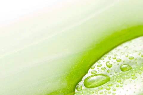 Water surface and green leaf 스톡 사진