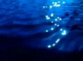 Water surface and reflections Loop Footage