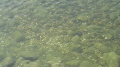 Water surface and stones Stock Footage 269831308