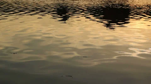 Water Surface background Stock Footage 32906943