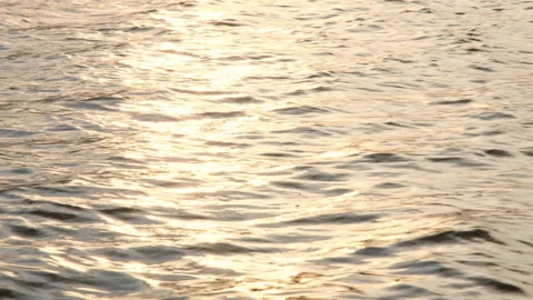 Water surface background. Ripples in lake water with sunlight reflected in water Stock Footage 196277245