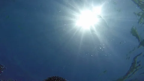 Water Surface from below with Sun Light Static Scene, Red Sea Stock Footage 73848548