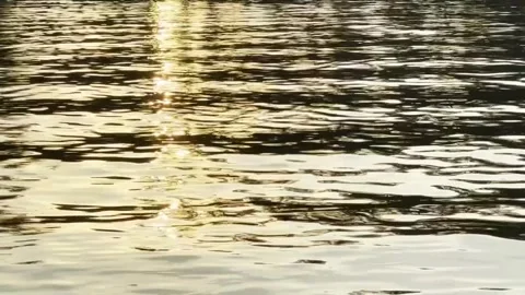 Water surface blinking at evening Stock Footage 302591700