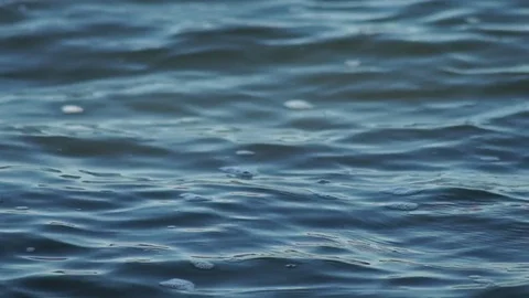 Water Surface with bubbles Stock Footage 85028168