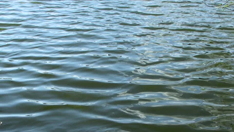 Water surface. Calm water ripples. Stock Footage 246563384