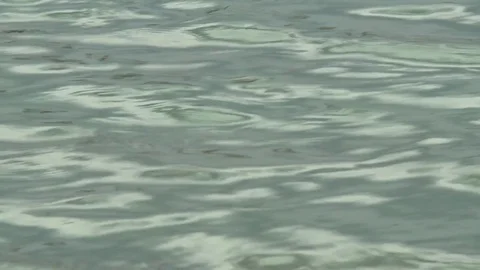 Water surface. Calm waves. Video stock 79324824