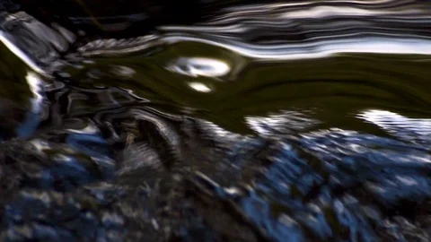 Water surface close-up Stock Footage 114262152