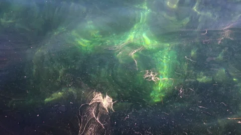 Water surface creating an abstract nature pattern, showing vibrant green algae Stock Footage 335268867