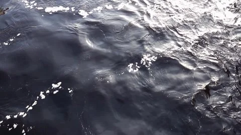 Water surface eddy patterns in flowing river Stock Footage 307999289