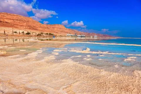 The water surface The evaporated salt forms freakish patterns on a water s... Foto stock