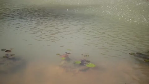Water surface with falling drops filmed from above. Close-up of fountain Stock Footage 149574734