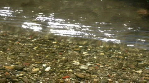 Water surface Stock Footage 505998