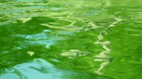 Water surface Stock Footage 8678749