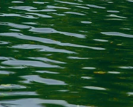 Water surface Stock Footage 10715068