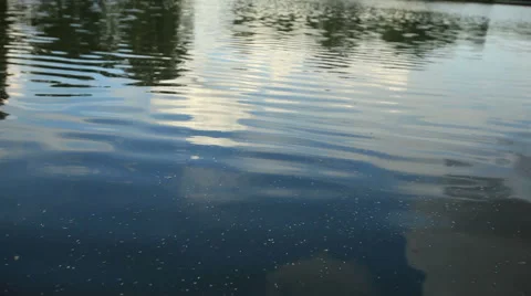 Water Surface Stock Footage 40763489