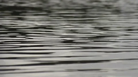Water surface Stock Footage 42495096