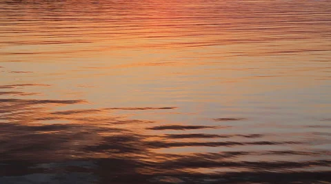 Water surface 스톡 동영상 49307663