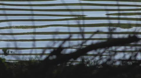 Water surface Video stock 61198579