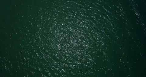 Water surface Stock Footage 96063697