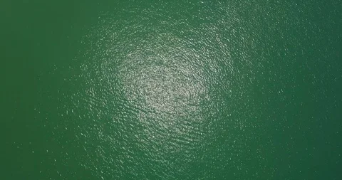 Water surface Stock Footage 96064040